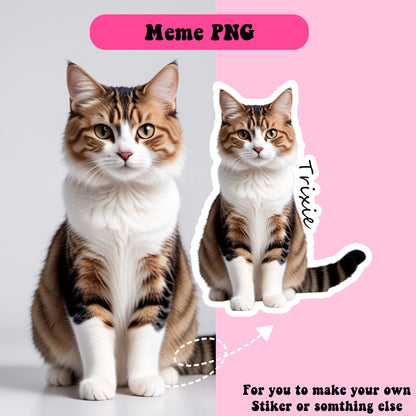 Meme PNG Gifts